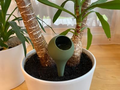 Plant Watering Globe